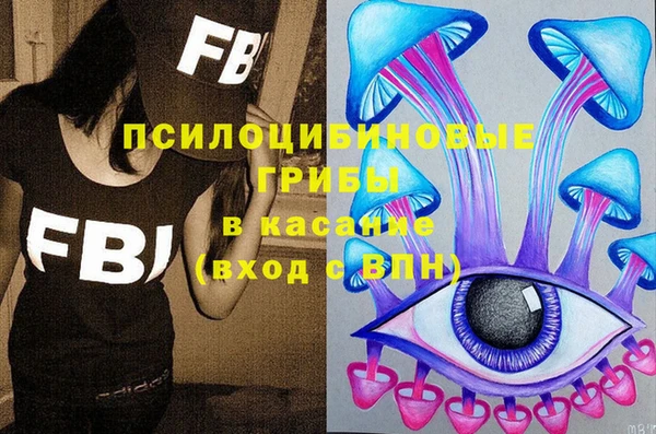 молекула духа Армянск