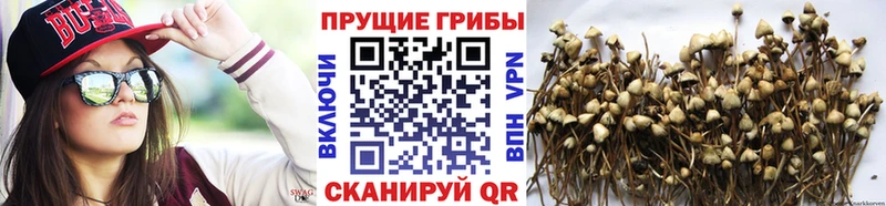 Псилоцибиновые грибы мухоморы  ссылка на мегу как войти  Алдан  магазин  наркотиков 